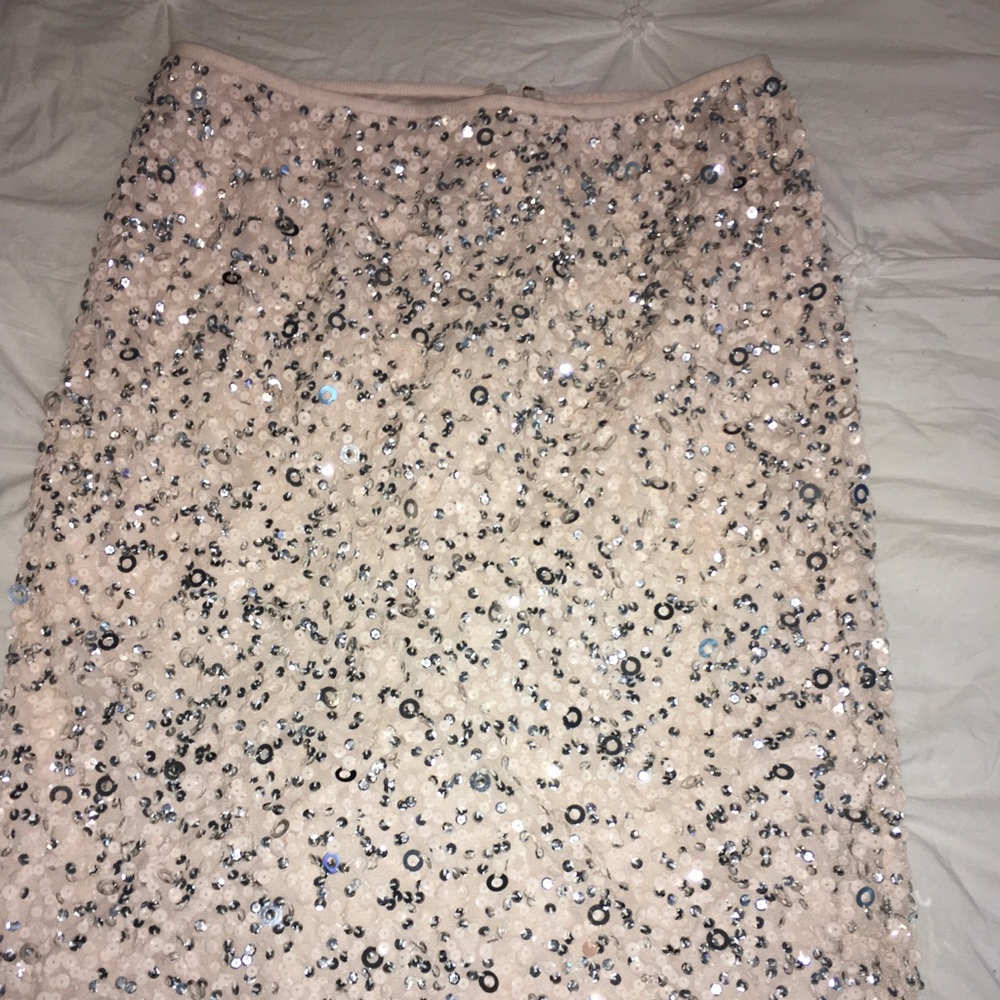 Adrianna Papell skirt